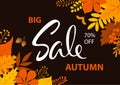 Season fall autumn sale background