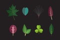 Season forest plant leaves collection vector icons Exotic tropical leaf icons set. Royalty Free Stock Photo