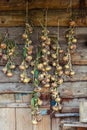 Season of harvest, plaited onions dried on a background of woode Royalty Free Stock Photo