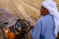 Season of Hay Harvest