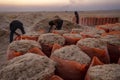 Season of Hay Harvest