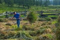 The season of hay for the winter