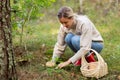 Young woman picking mushrooms in autumn forest Royalty Free Stock Photo