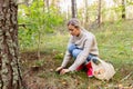 Young woman picking mushrooms in autumn forest Royalty Free Stock Photo