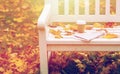 Newspaper and coffee cup on bench in autumn park Royalty Free Stock Photo