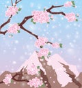 Season sakura mount Fuji