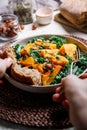 Season salad with grilled pumpkin Royalty Free Stock Photo