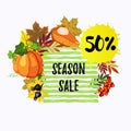 50% season sale banner with leaves, pumpkin and berries Royalty Free Stock Photo