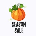 Season sale sticker with ripe pumpkin on the white Royalty Free Stock Photo