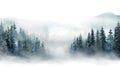 season scene fog panorama foggy