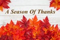 A season of Thanks greeting with red and orange fall leaves on weathered wood