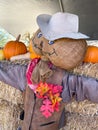 Seasonal adventures pumpkin patch festival. Food stand and rides for families, San Diego