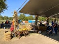 Seasonal adventures pumpkin patch festival. Food stand and rides for families, San Diego