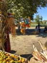 Seasonal adventures pumpkin patch festival. Food stand and rides for families, San Diego