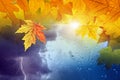 Seasonal autumn background, fall weather forecast concept