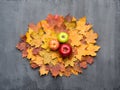 Seasonal autumn background. Frame of colorful maple leaves and apples over grey . Royalty Free Stock Photo