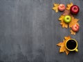 Seasonal autumn background. Frame of colorful maple leaves and a cup of hot coffee over grey. Royalty Free Stock Photo