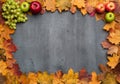 Seasonal autumn background. Frame of colorful maple leaves. Royalty Free Stock Photo