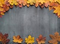 Seasonal autumn background. Frame of colorful maple leaves. Royalty Free Stock Photo