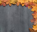 Seasonal autumn background. Frame of colorful maple leaves. Royalty Free Stock Photo