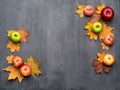 Seasonal autumn background. Frame of colorful maple leaves, peaches and apples over grey Royalty Free Stock Photo