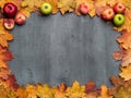 Seasonal autumn background. Frame of colorful maple leaves. Royalty Free Stock Photo