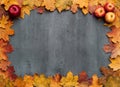 Seasonal autumn background. Frame of colorful maple leaves. Royalty Free Stock Photo