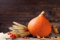 Seasonal autumn background with pumpkin decorated with fall leafs and wheat. Harvest time.