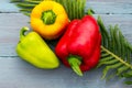 Seasonal autumn harvest, red, green and yellow sweet bell peppers on a blue wooden background, close up, fern leaf Royalty Free Stock Photo