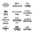 Seasonal autumn lettering. Autumn typographic and logos elements.