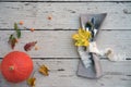 Seasonal autumn table setting with small pumpkin and fall leaves berries on orange and yellow colors. Happy Thanksgiving design. Royalty Free Stock Photo