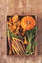 Seasonal autumnal vegetables