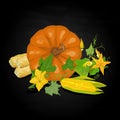 Seasonal background with pumpkins and corn