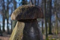 Seasonal bird feeder with made of right roof tiles made of burnt clay.