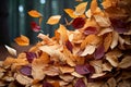 Seasonal carpet Beautiful ground adorned with dry autumn leaves Royalty Free Stock Photo
