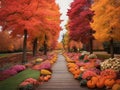 Seasonal changes: from vibrant spring blooms to colorful autumn foliage AI generated image