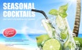 Seasonal cocktail mojito drinks