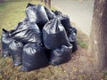 Seasonal collection of fallen leaves from the street in cellophane bags.