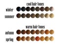 Seasonal color analysis hair colors palette for all types of female appearance