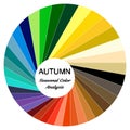 Seasonal color analysis palette for autumn type. Type of female appearance Royalty Free Stock Photo