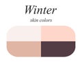 Seasonal color analysis palette for winter type of female appearance. Skin colors for winter type.