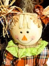 Closeup of Scarecrow Female Face Royalty Free Stock Photo