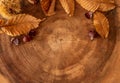 Seasonal fall background with leaves, chestnuts and a log Royalty Free Stock Photo