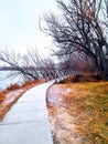 Seasonal fall colors on the nature path bridge at Sloans lake, Wyoming