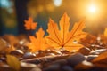 seasonal fall leaves bright sunrise sun flare lens effect nostalgic lighting cinematic atmosphere generative ai