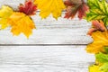 Seasonal frame of autumnal maple leaves on white wooden background