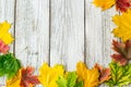 Seasonal frame of autumnal maple leaves on white wooden background