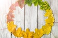 Seasonal frame of autumnal maple leaves on white wooden background