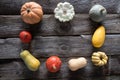 Seasonal frame of pumpkins, squashes and gourds for vegetarian menu Royalty Free Stock Photo