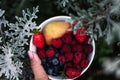 seasonal fruits, berries and flowers on a green background Royalty Free Stock Photo